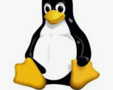 包邮电脑问题咨询技术服务 linux系统配...