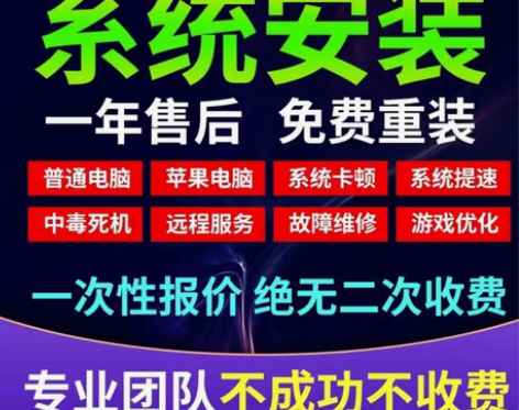 远程维修电脑、在线重装系统纯净版、重装做系...