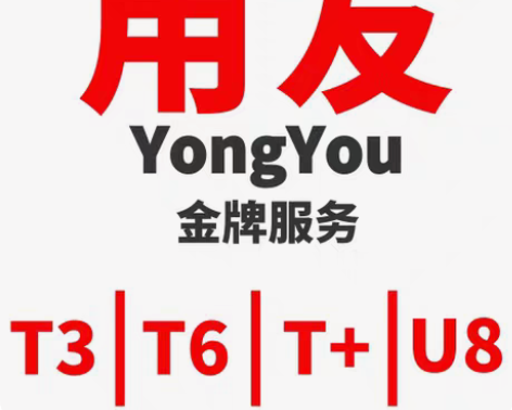 用友畅捷通t+18.0 17.0 16.0...