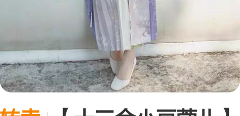 转卖【十三余小豆蔻儿】[眠沙]国风绣花方领...