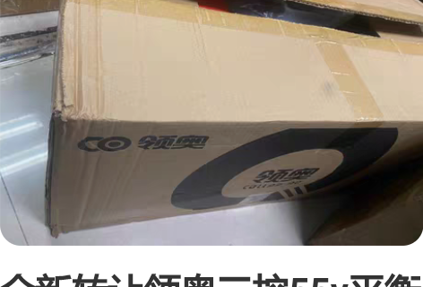 全新转让领奥三控55v平衡车。不含运费 感...