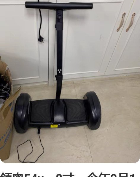 领奥54v，8寸，今年2月1号刚在这里买的...