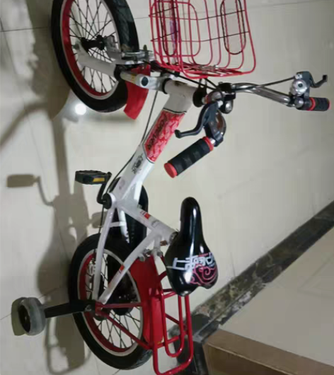 孩子长高了原来车骑不了买了新的，儿童平衡车...