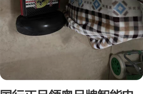 国行正品领奥品牌智能电动平衡车儿童成人男孩...