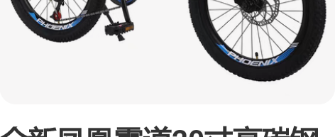 全新凤凰霸道20寸高碳钢山地学生车 感兴趣...