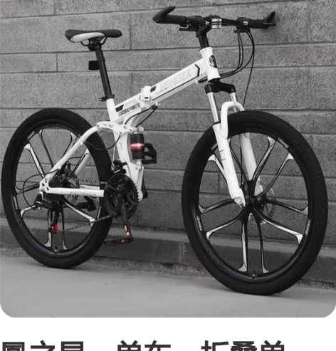 鳳之星，单车，折叠单车，上海凤凰车件有限公...