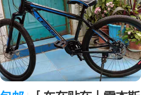 包邮「车在贴在」雷杰斯山地自行车 实拍、成...