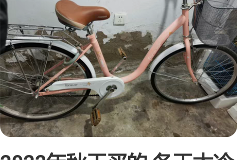 2022年秋天买的 冬天太冷于是又买了辆电...