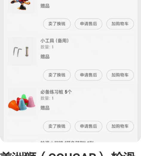 美洲狮（COUGAR） 轮滑鞋可调成人儿童...