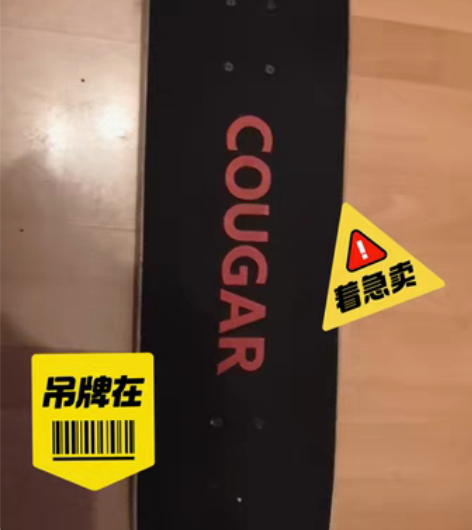 包邮美洲狮（cougar）滑板专业板双翘板...