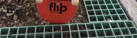 包邮进口flip组装整板专业枫木高级双翘滑...