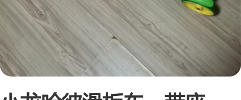 小龙哈彼滑板车，带座位，座位可收。基本没玩...