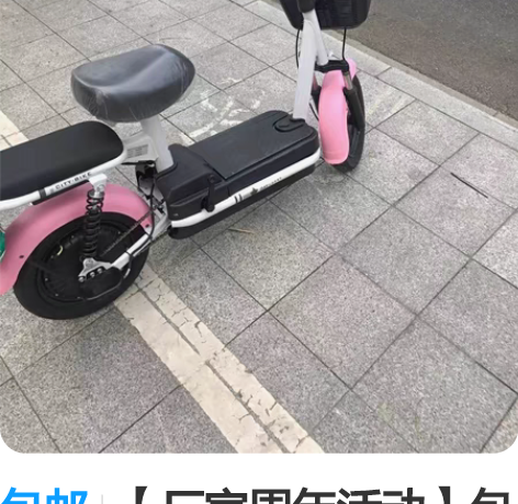 包邮【厂家周年活动】包邮全新新国标48V爱...