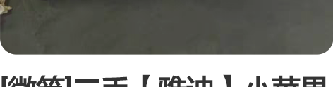 [微笑]二手【雅迪】小苹果 9成新 5个大...