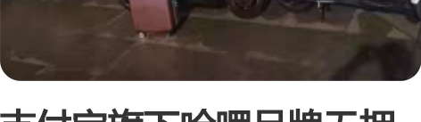 支付宝旗下哈啰品牌无押金租车条件花呗没有逾...