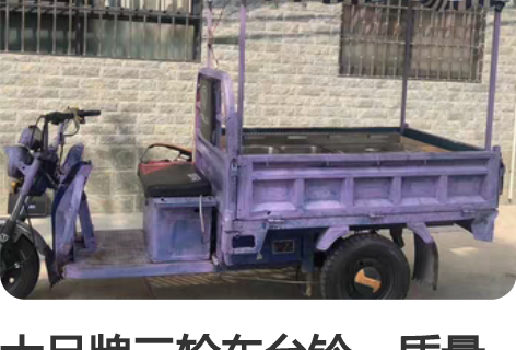 大品牌三轮车台铃，质量杠杠的，新买来470...