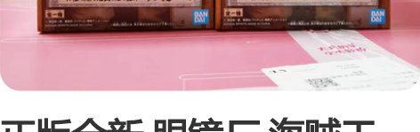 正版全新 眼镜厂 海贼王DXF 和之国 白...