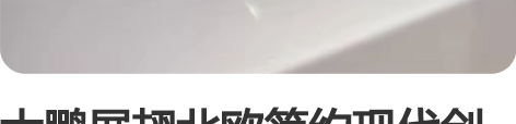 大鹏展翅北欧简约现代创意家居摆件客厅办公室...