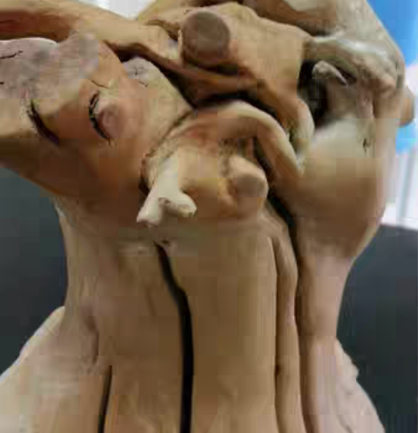 包邮天然风化树根摆件造景摆件 感兴趣的话点...