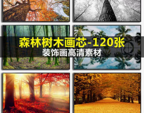 转卖唯美风景森林树木秋天现代摄影画芯客厅装...