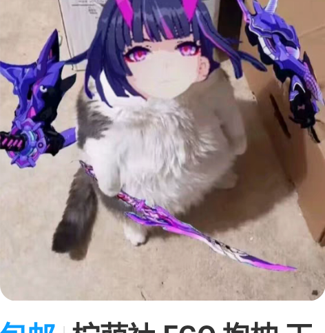 包邮柠萌社 FGO 抱枕 玉藻前a3b4 ...