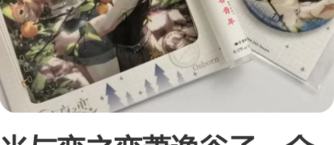 光与恋之恋萧逸谷子，全部是在官网买的，全部...