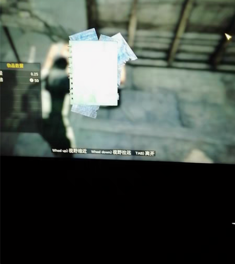 辐射76  pc   稀有服装图纸 寻宝猎...