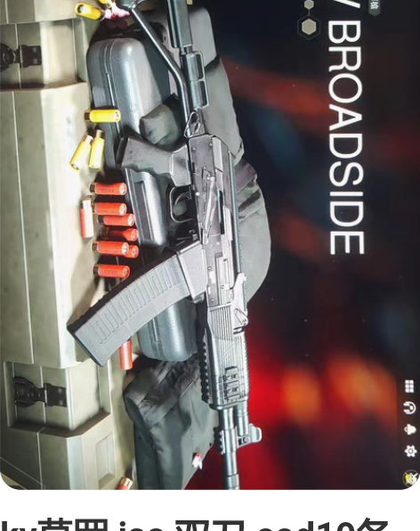 kv莫罗 iso 双刀 cod19各种武器...