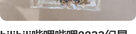 bilibili哔哩哔哩2233幻星集亚克...