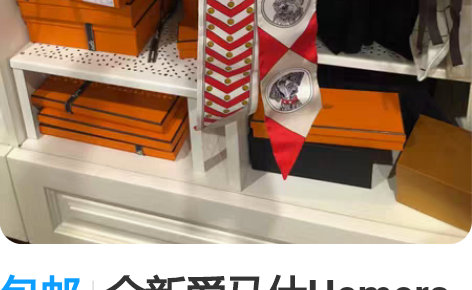 包邮全新爱马仕Hemers twilly，...