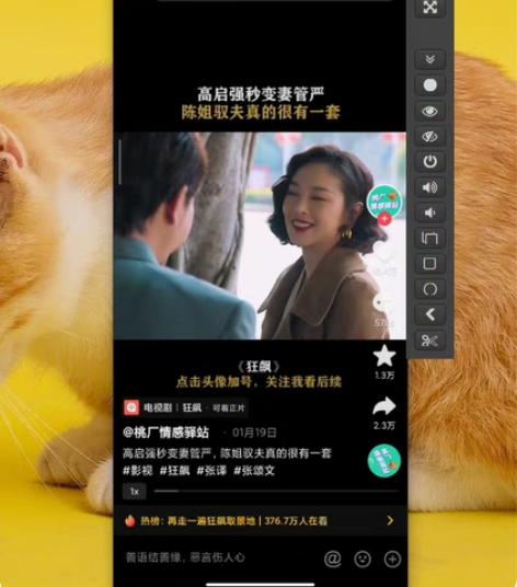 上班想摸鱼安卓投屏小软件，电脑控制手机。无...