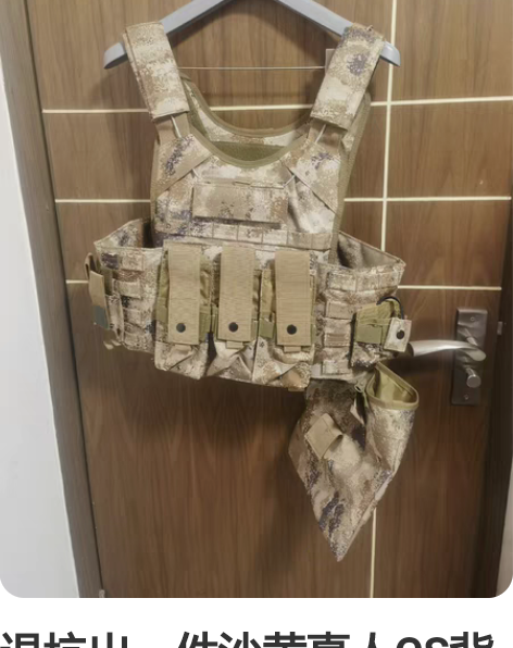 退坑出一件沙黄真人CS背心战术背心，仅试穿...