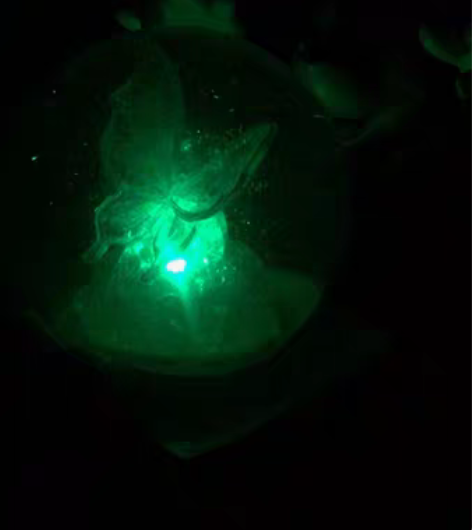 包邮迪士尼米奇神奇的魔法灯光音乐水晶球摆件...