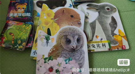 《小兔比利》触摸书，几乎全新 不包邮，最好...