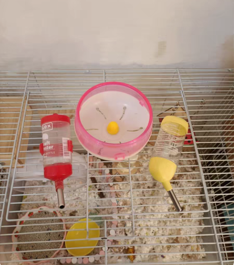 仓鼠跑轮 简易跑轮 品牌型号:萌牙儿宠物 ...