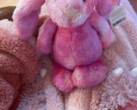 jellycat 果子酱 绝版 暗箱多年无...