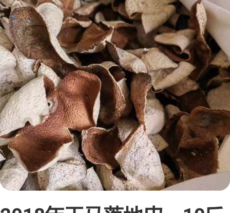 2018年天马落地皮，10斤起批价120元...