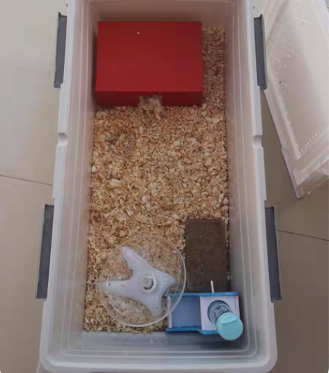 仓鼠宠物用品全套自提55，只要收纳箱40，...