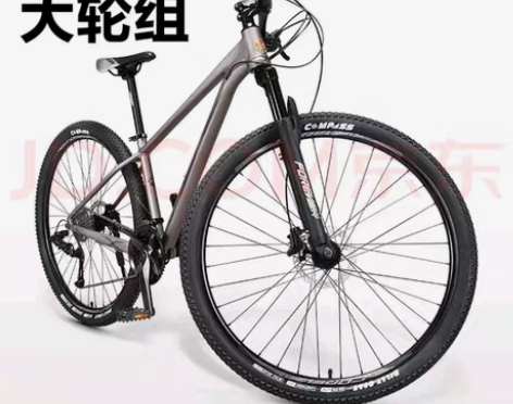 29寸大轮毂山地自行车,2021年9月份1...