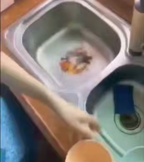 包邮厨房放一个厨房宝，一切厨房垃圾搞定，不...