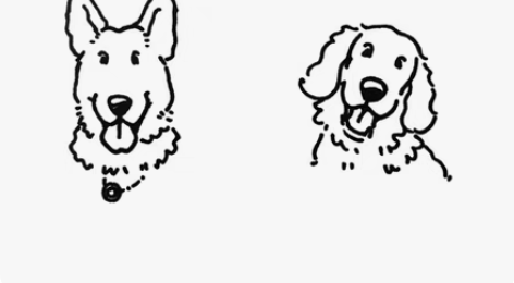 【标价～】q版手绘宠物头像定制小动物画像定...