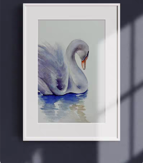 《天鹅》 水彩 16k 感兴趣的话给我留言...