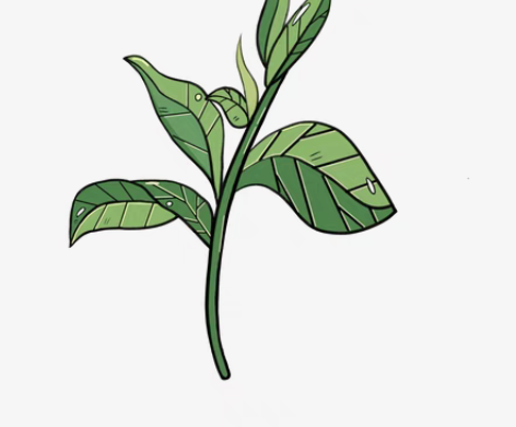 包邮procreate板绘简单草稿帮润色上...
