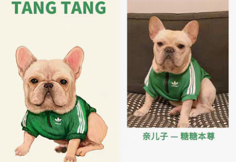 宠物头像 手机壁纸手绘定制 画好发邮箱 感...