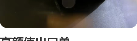 高颜值出口单Silvercrest8.8升...