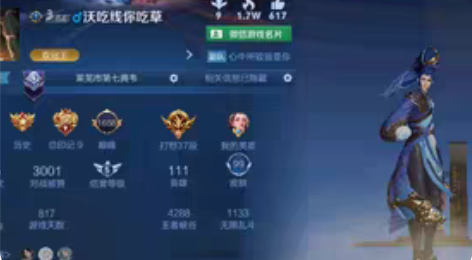 vx区，10永久共，该有的都有，能做日常就...