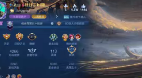 王者共号 可营地ID自查499184776...