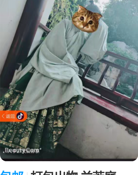 包邮打包出物 兰若庭，入坑汉服，全新仅试穿...