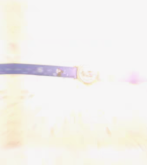 包邮女士  时尚   四叶草手表  专柜撤...