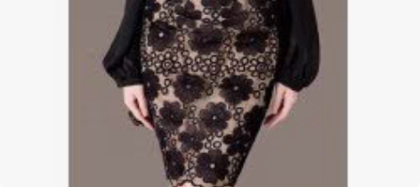 美国购入绝美蕾丝绣花铅笔长裙 买前必读： ...